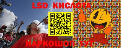 ГАЛЛЮЦИНОГЕННЫЕ ГРИБЫ Кандалакша