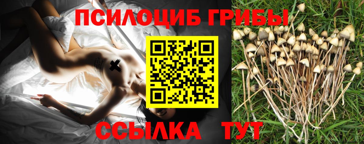 Галлюциногенные грибы мицелий  Вход с VPN  Краснодар 